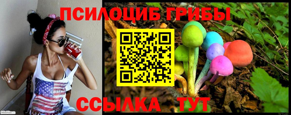 Псилоцибиновые грибы Psilocybine cubensis Александров