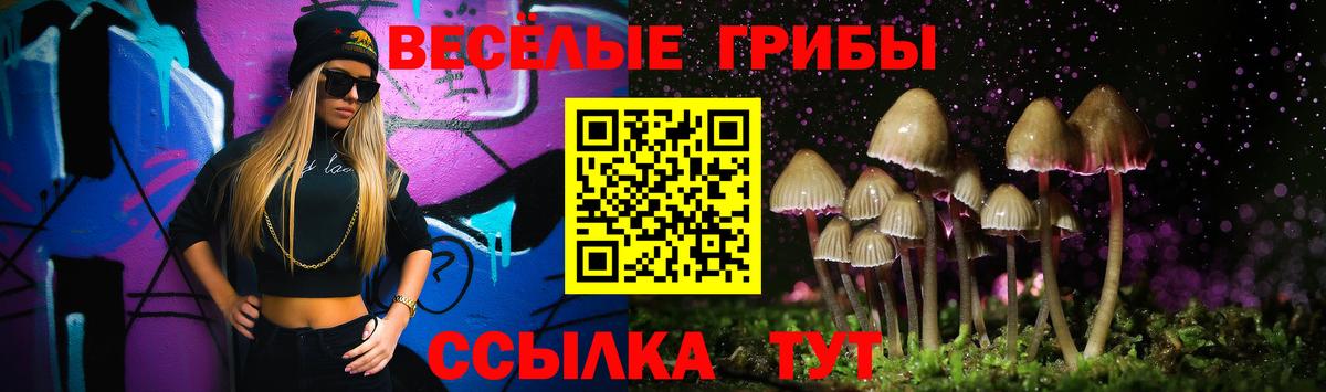 Александров  Псилоцибиновые грибы Psilocybine cubensis  Вход с VPN  Галлюциногенные грибы Magic Shrooms 
